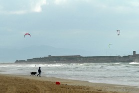 tarifa