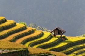 Vietnam   141003-253© B.Boone