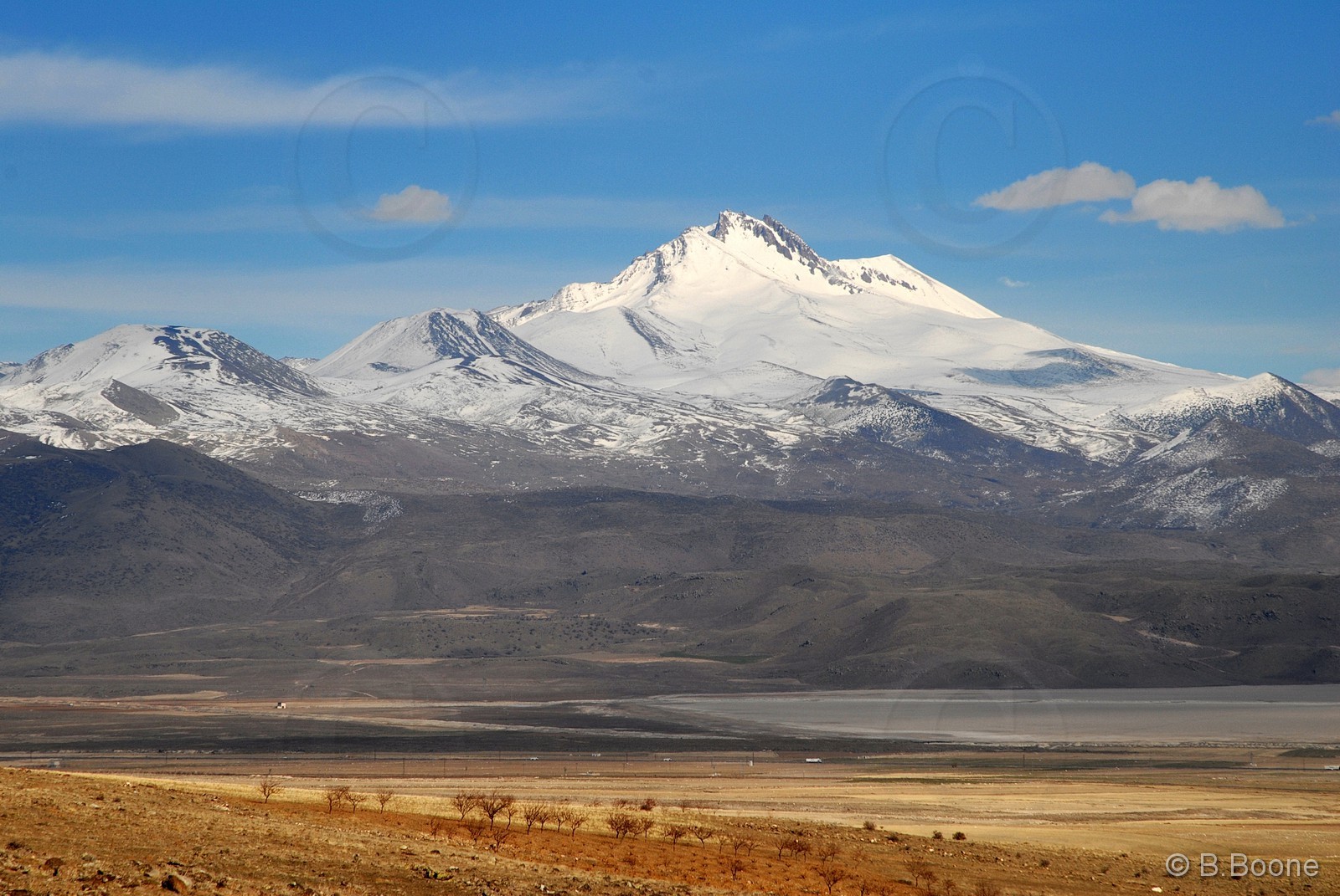 070301-140©B.Boone