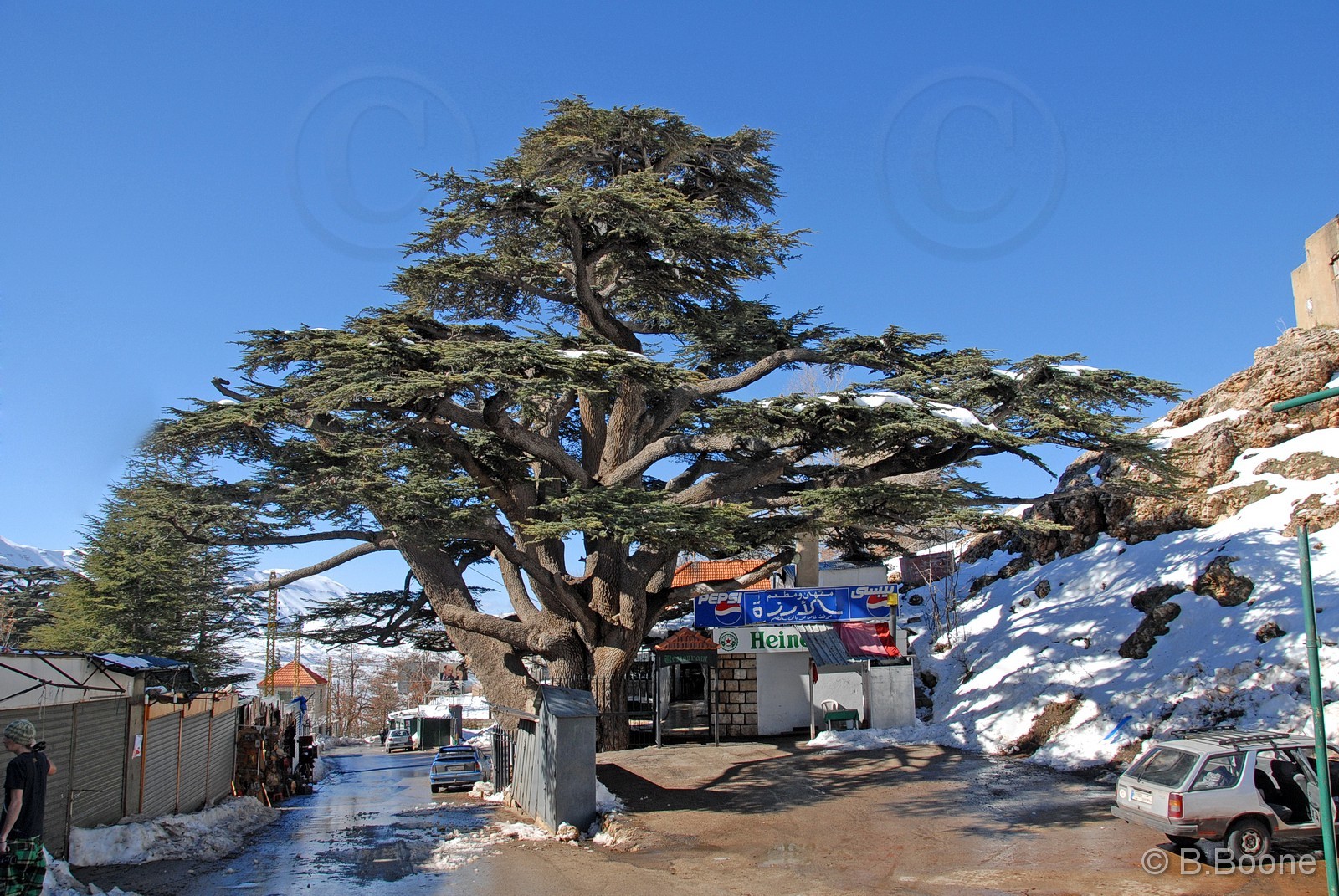 100201-002 ©B.Boone