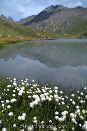 lac du Goleon