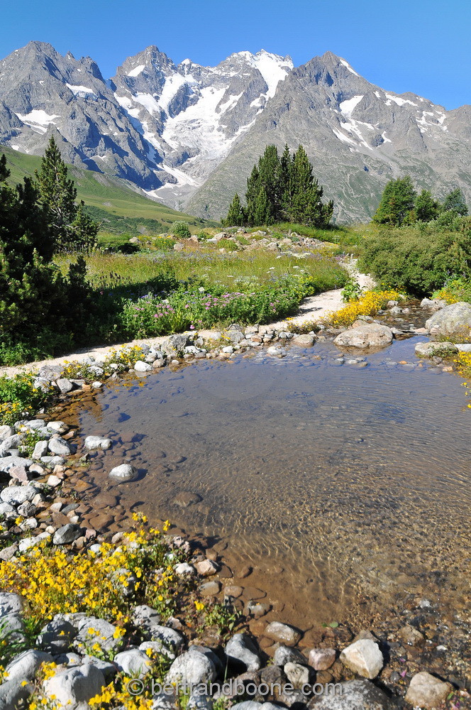 Jardin alpin du Lautaret (05)