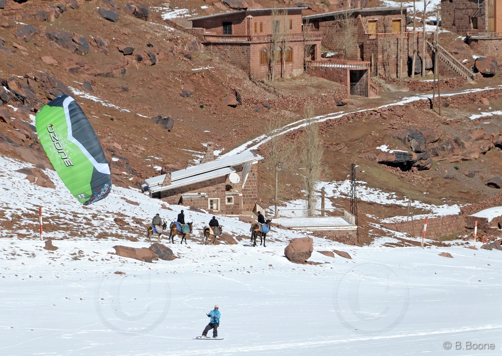 110203-1084©B.Boone