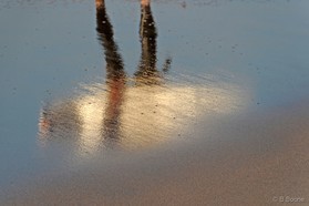 Johann Civel - Maroc