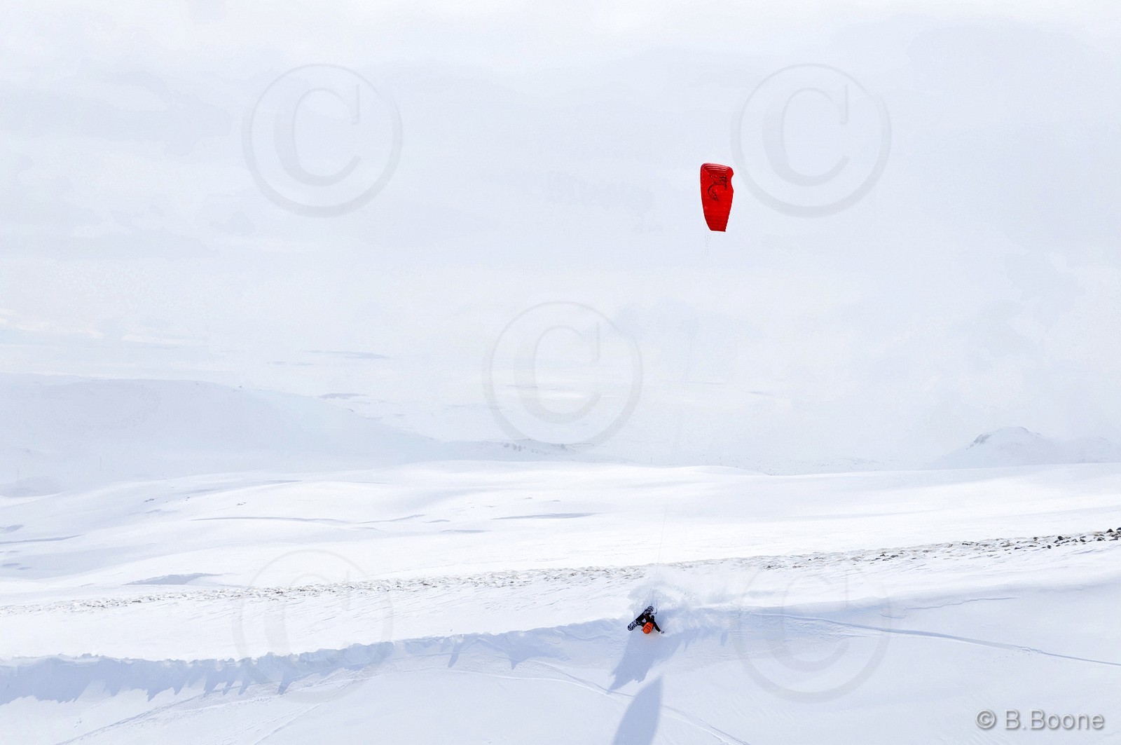 120226-0283©B.Boone