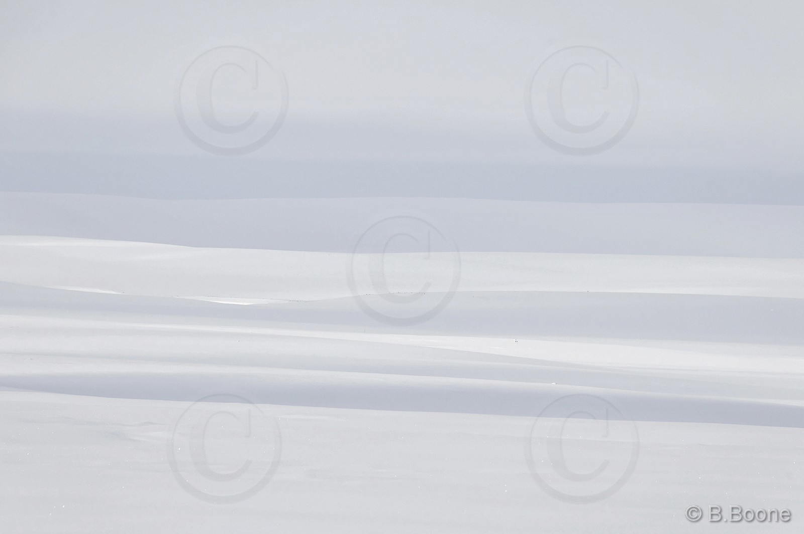 120316-030 © B.Boone