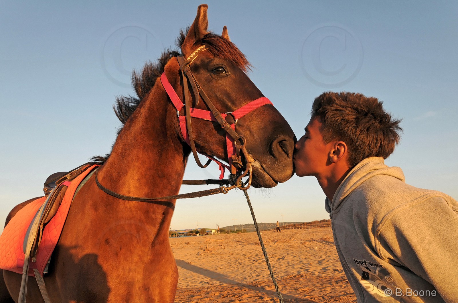 Maroc   110207-0037©B.Boone