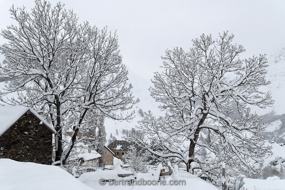 Les Hières (La Grave) - Hautes Alpes (05) - France