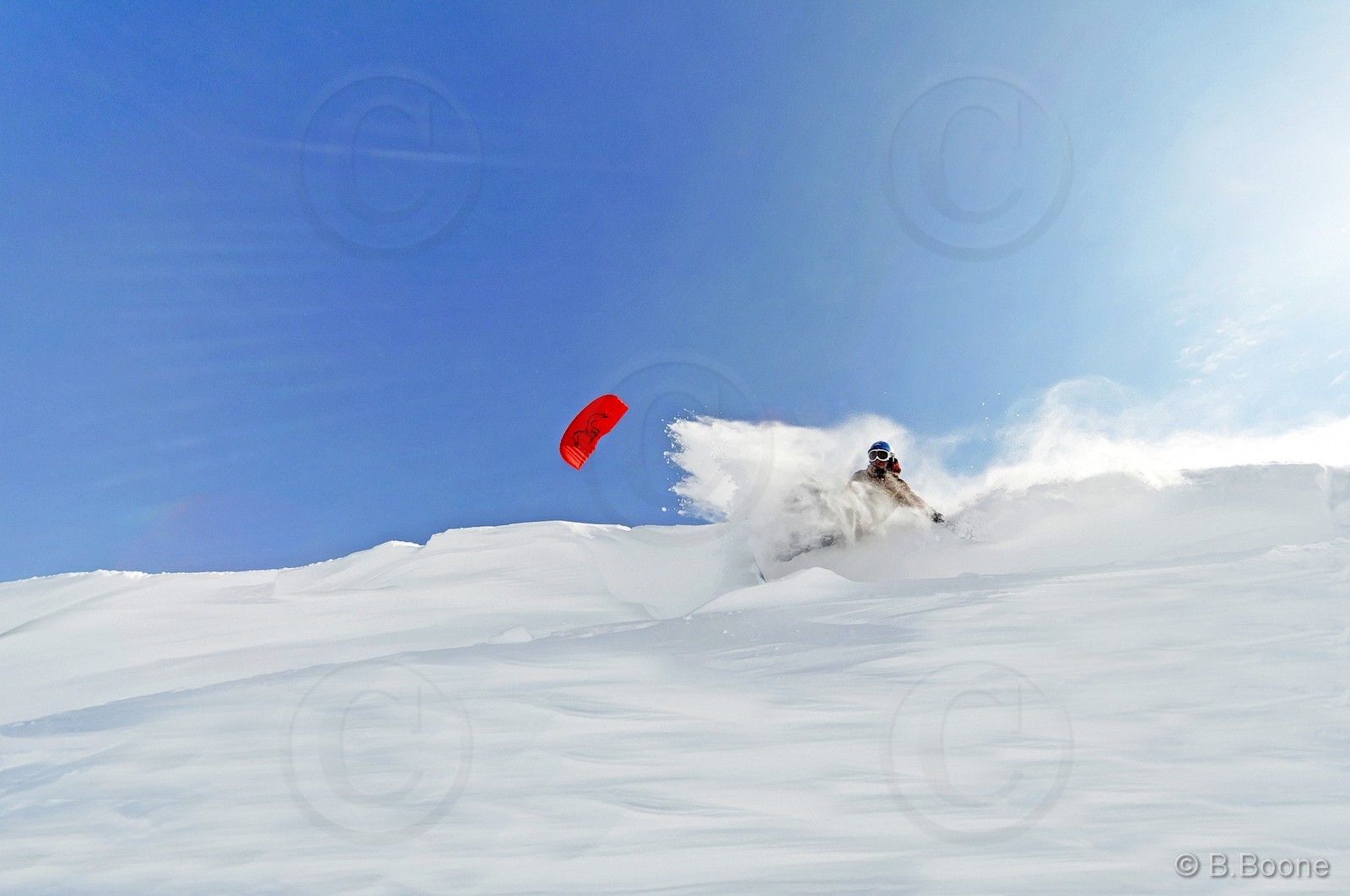 120226-1150©B.Boone