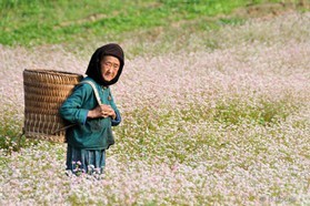 Vietnam   141010-074© B.Boone