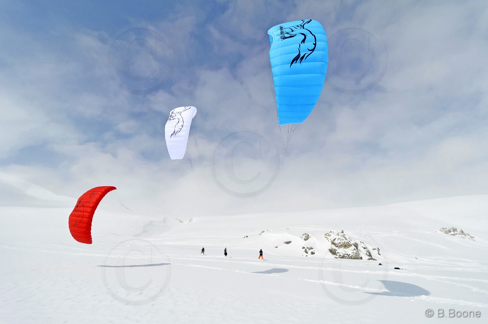 120226-0555©B.Boone