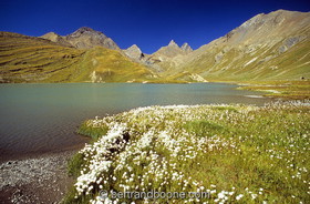 Au Pays de La Meije-Hautes Alpes-France