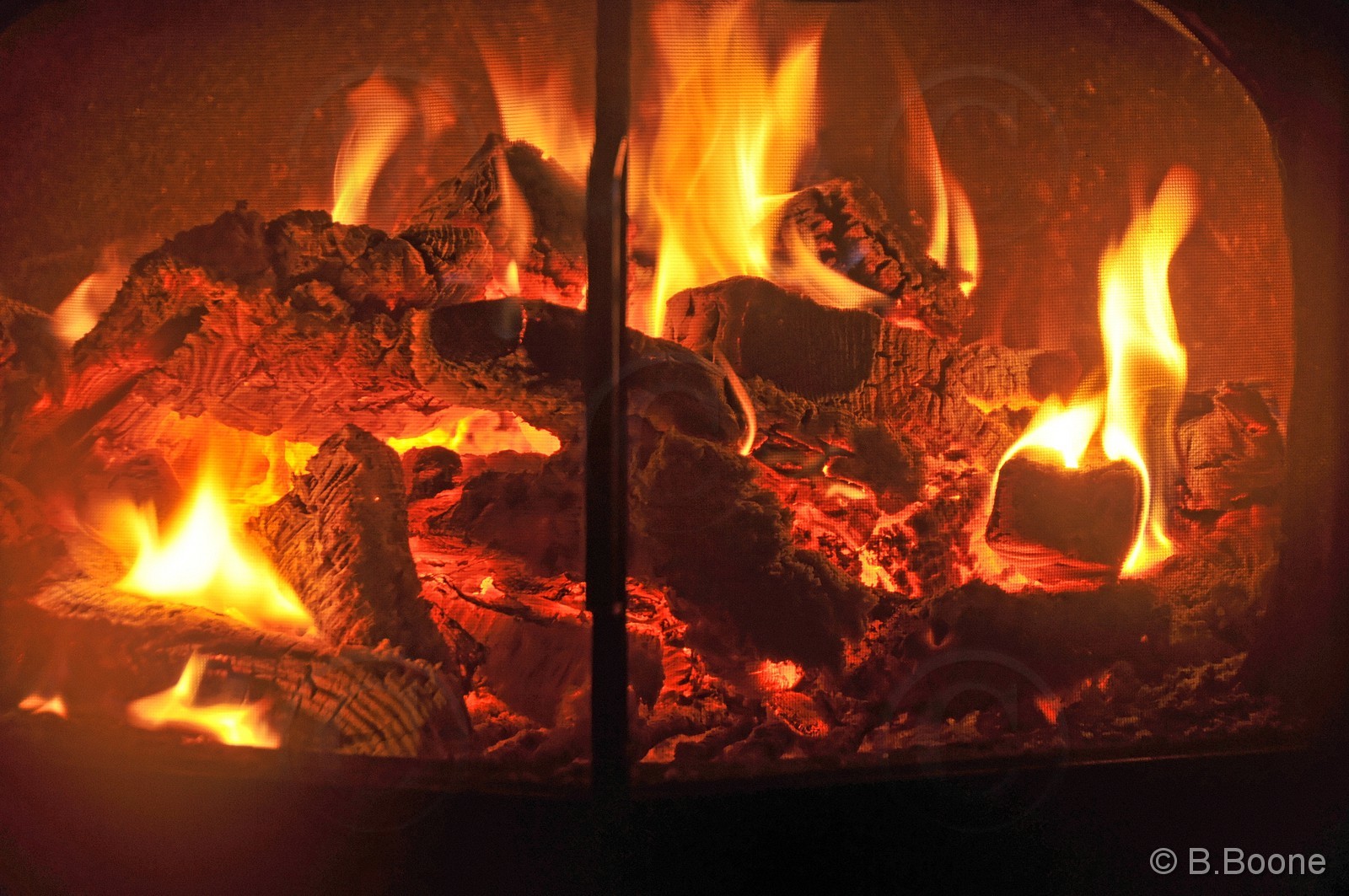 120314-069 © B.Boone