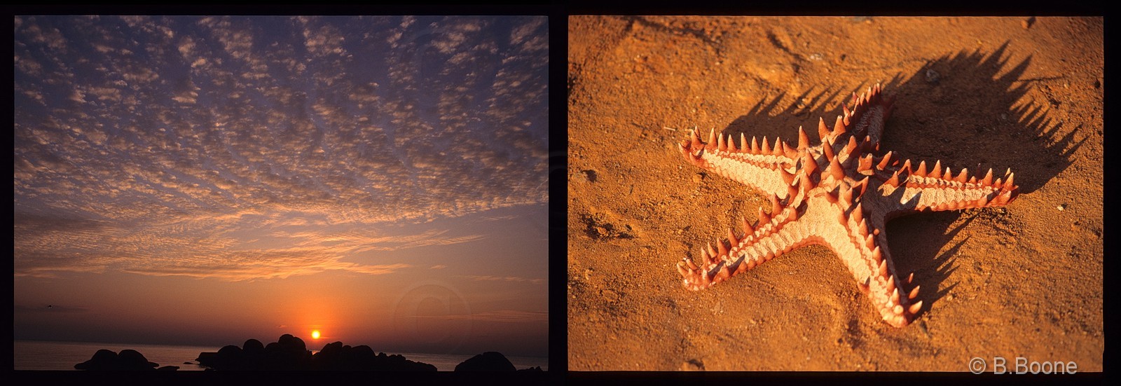 Madagascar   791scan©B.Boone