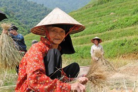 Vietnam   141003-055© B.Boone