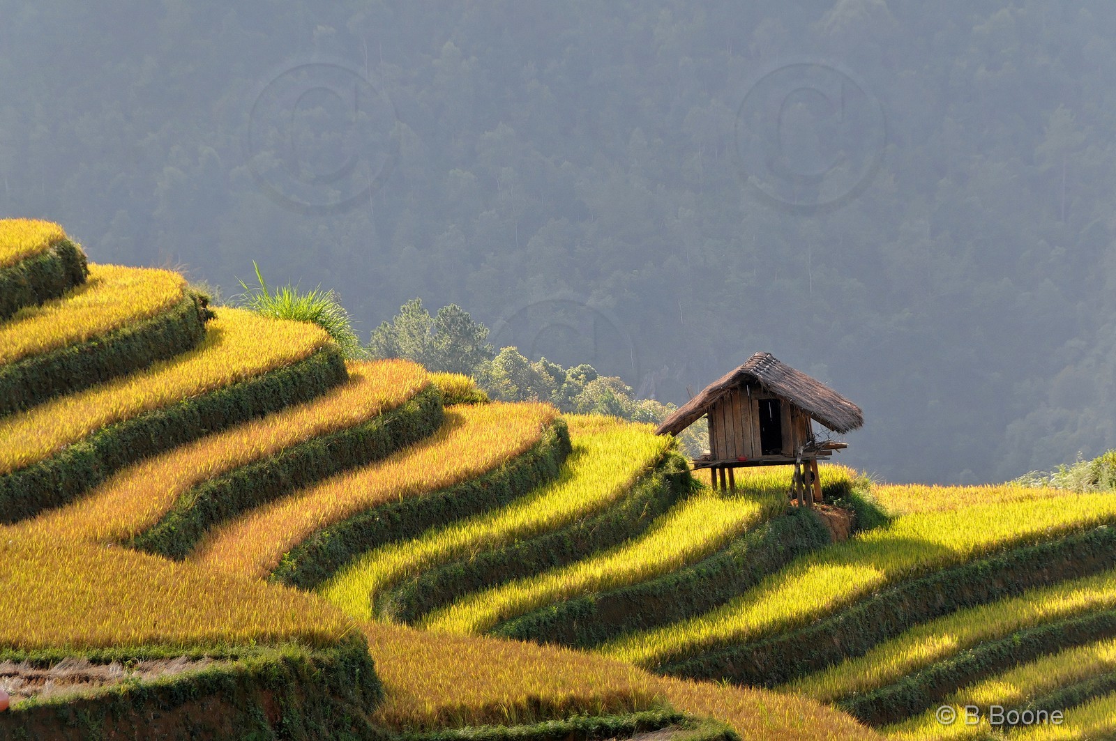 Vietnam   141003-253© B.Boone
