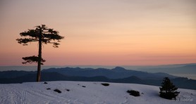 070122-0008©B.Boone