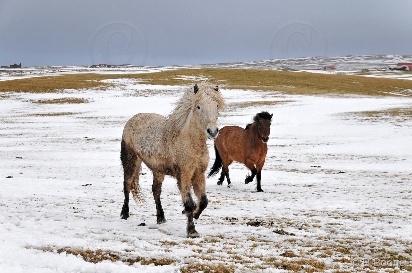 120319-02 © B.Boone