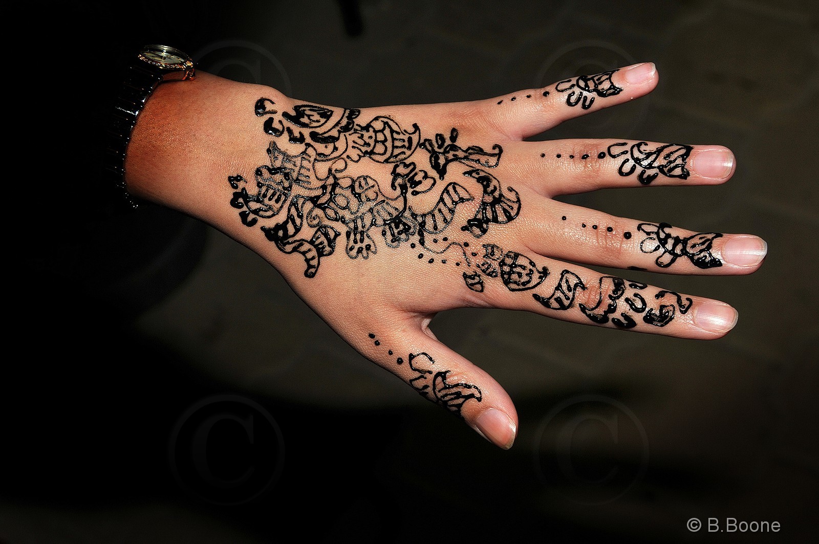 Koweit   140212-035© B.Boone