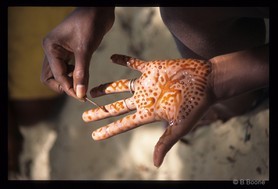 Madagascar   794scan©B.Boone