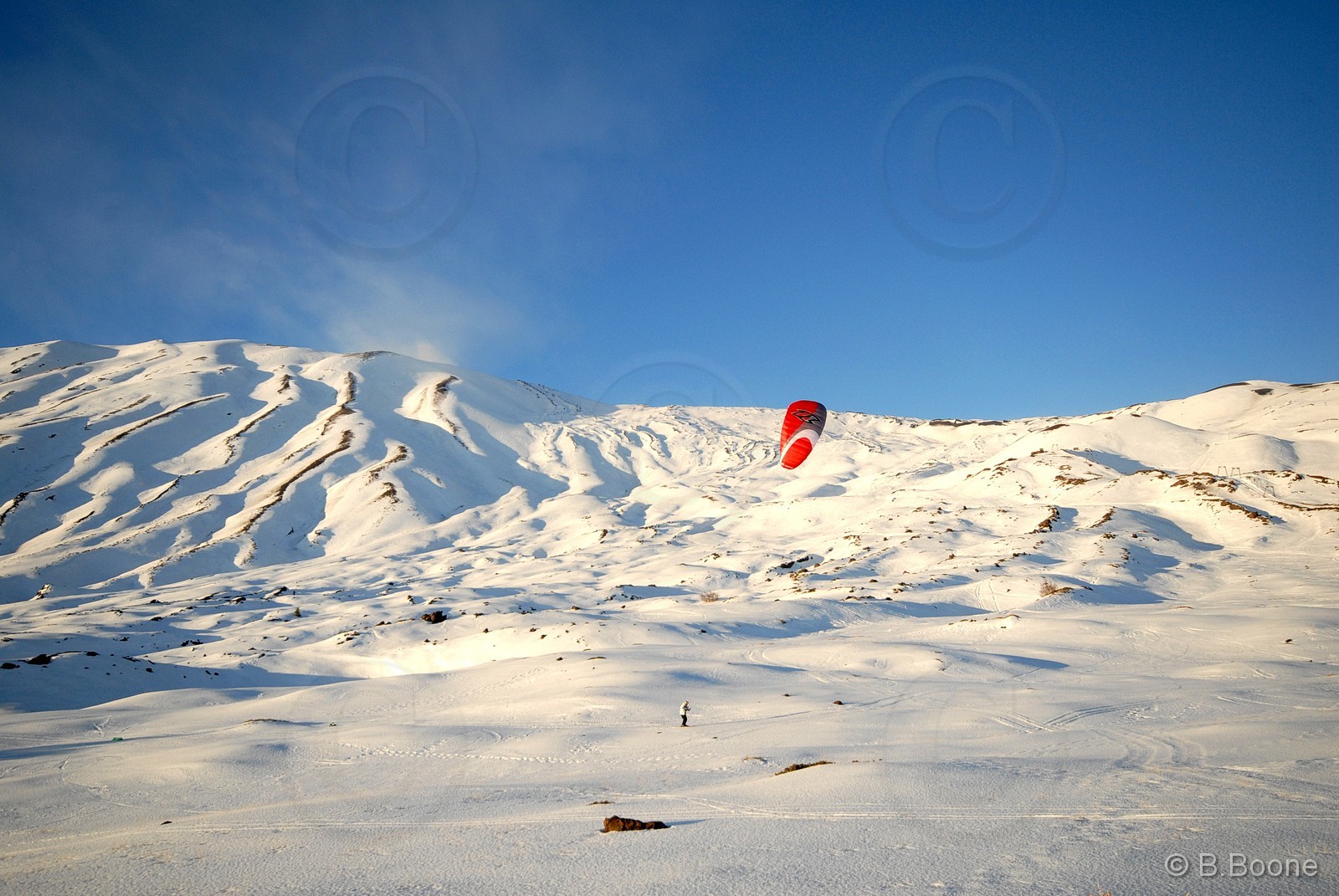 070122-0256©B.Boone