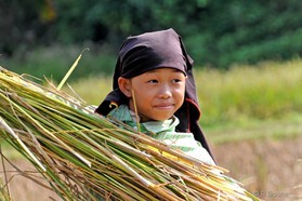 Vietnam   141008-060© B.Boone