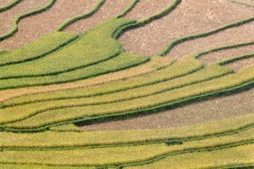 Vietnam   141003-097© B.Boone