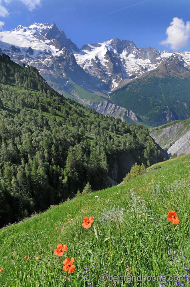 La Meije et Le Rateau - 05 - Fr
