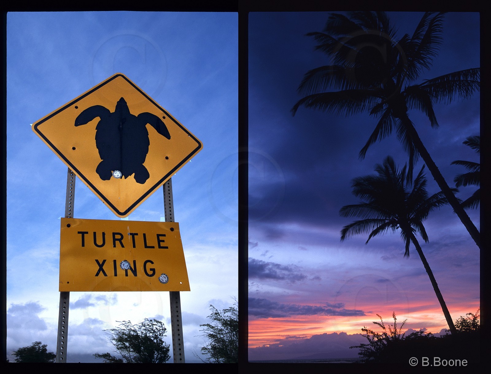 Hawaï   825scan©B.Boone