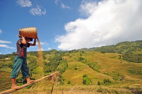 Vietnam   141003-363© B.Boone