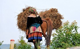 Vietnam   141006-25© B.Boone