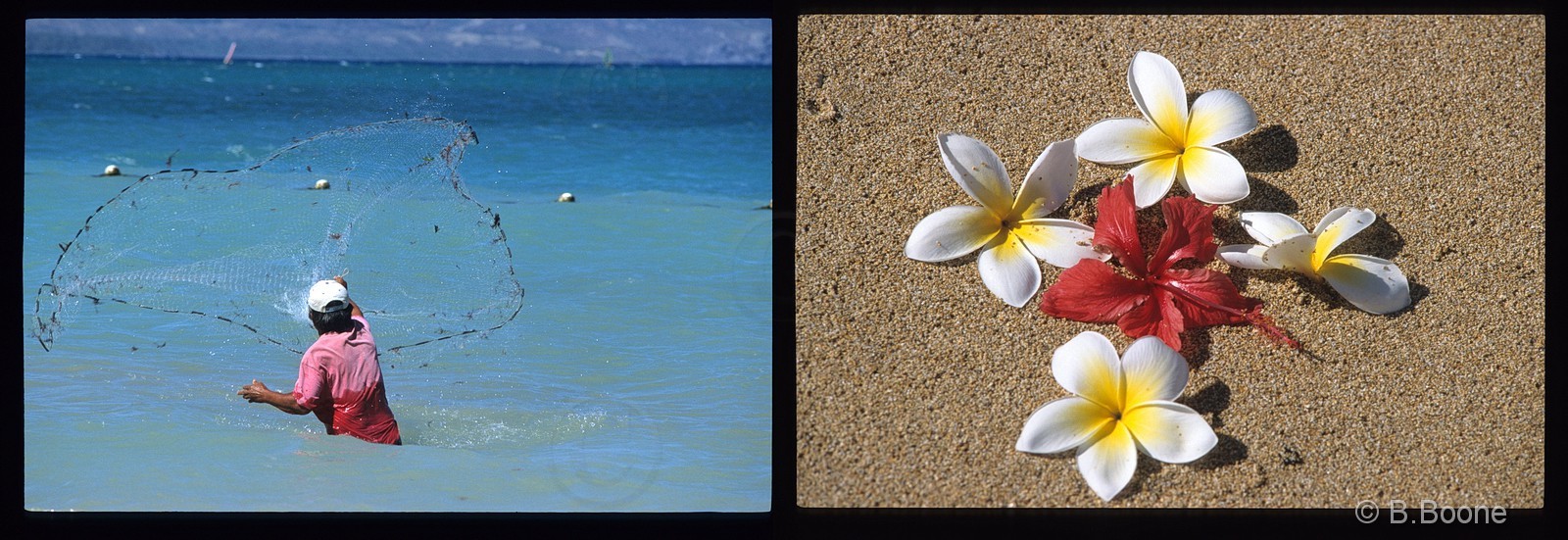Hawaï   821scan©B.Boone