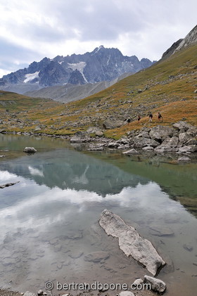 rando tour du Combeynot (05)