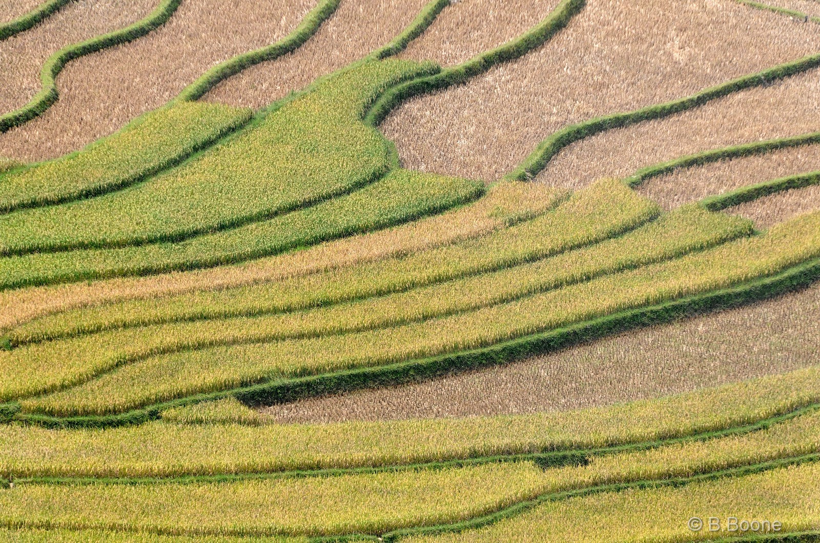 Vietnam   141003-097© B.Boone