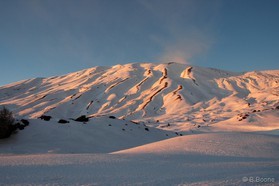 070122-0083©B.Boone