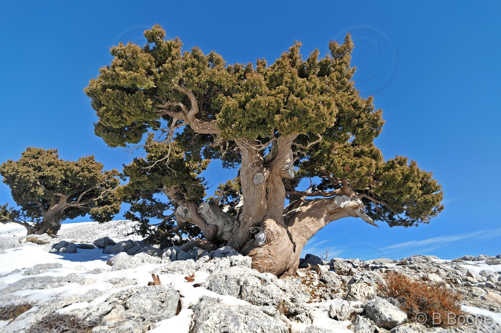 130201-060 © B.Boone